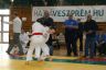 Thumb Judo 075 1200