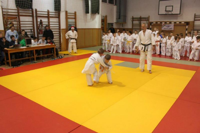 2013 12 05 VEJSE MIULaS KUPA 13 