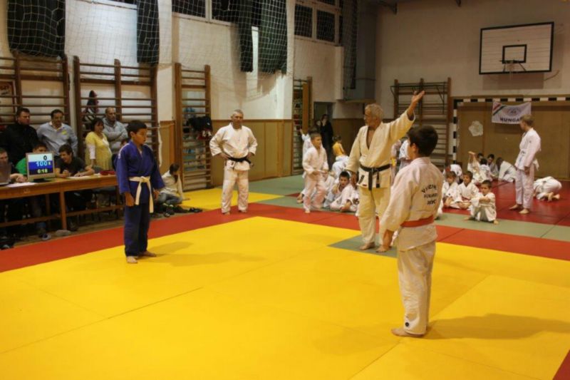 2013 12 05 VEJSE MIULaS KUPA 26 