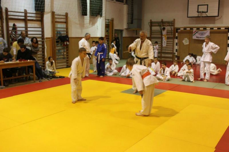 2013 12 05 VEJSE MIULaS KUPA 27 