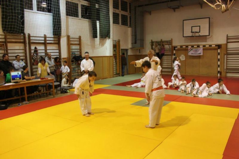 2013 12 05 VEJSE MIULaS KUPA 31 